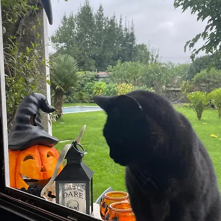 Nocleg ze śniadaniem Les Hortensias