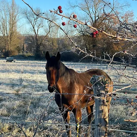 Les Hortensias Espoey