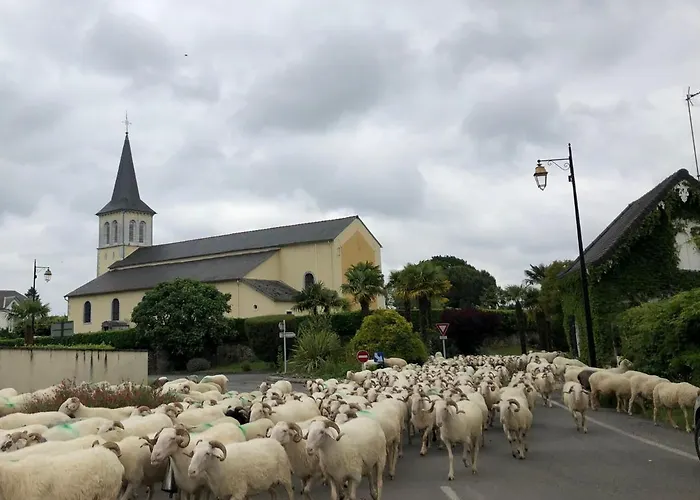 Nocleg ze śniadaniem Les Hortensias 3*