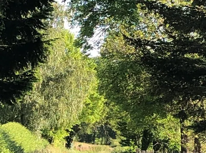 Les Hortensias Nocleg ze śniadaniem Espoey