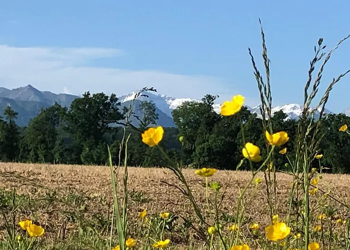Les Hortensias Nocleg ze śniadaniem Espoey