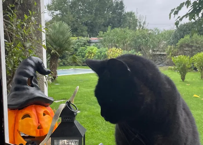 Nocleg ze śniadaniem Les Hortensias